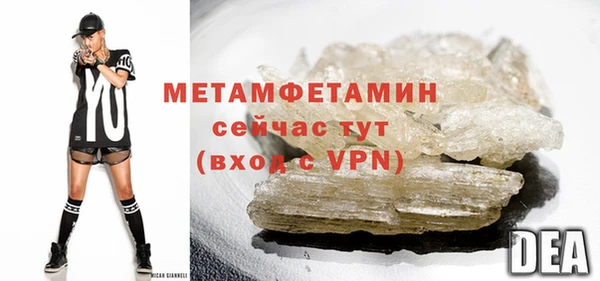 шишки Ессентукская