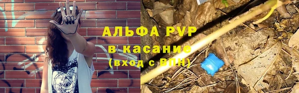 СК Куйбышев