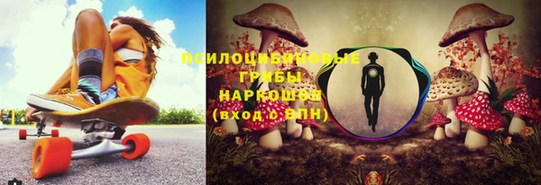 СК Куйбышев