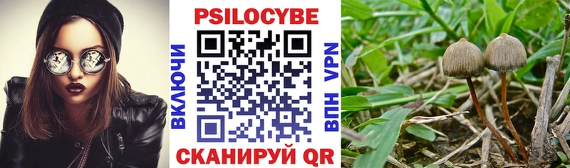 Галлюциногенные грибы прущие грибы  blacksprut маркетплейс  мориарти Telegram  Камышин 