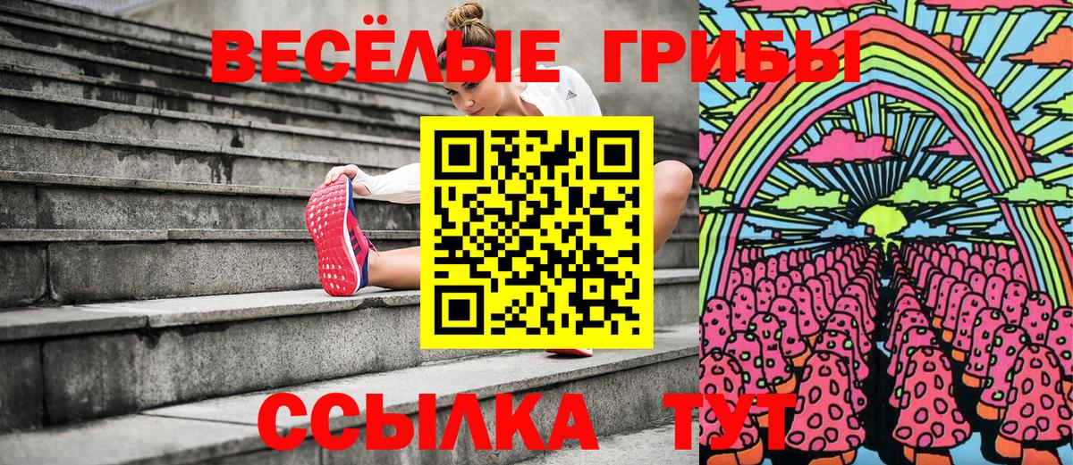 APVP СК кристаллы  МАРИХУАНА  LSD-25  Камышин  КОКАИН  Вход с VPN  Меф МЯУ МЯУ  